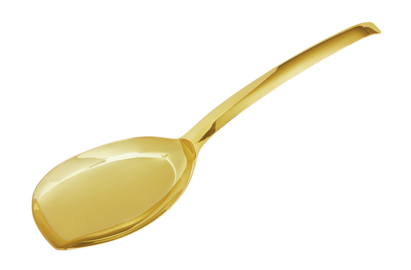 Rice Spoon 28cm Living Pvd Gold Gift pack