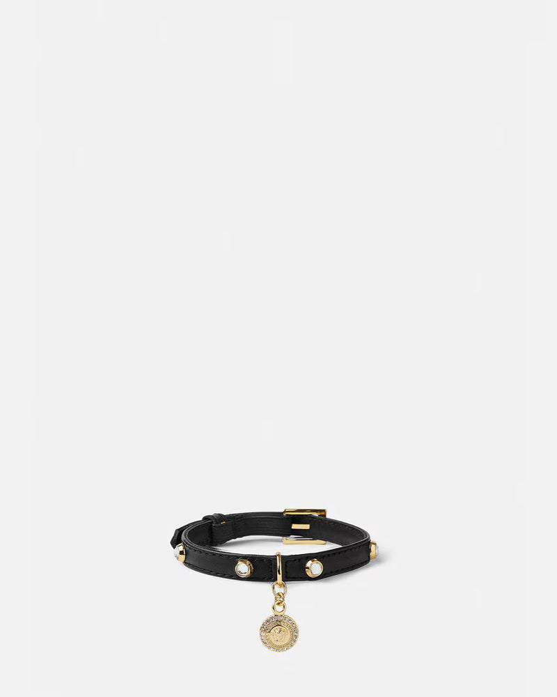 CAT COLLAR ICON