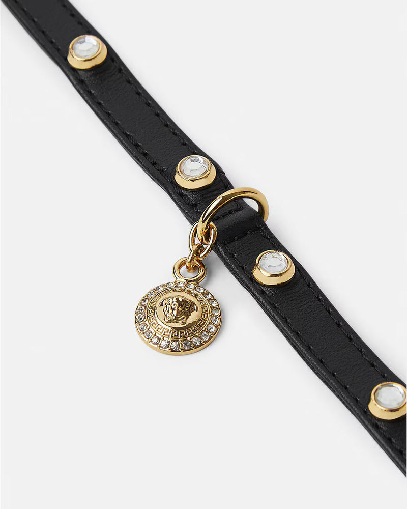 CAT COLLAR ICON