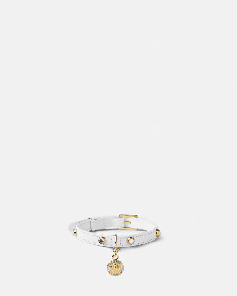 CAT COLLAR ICON