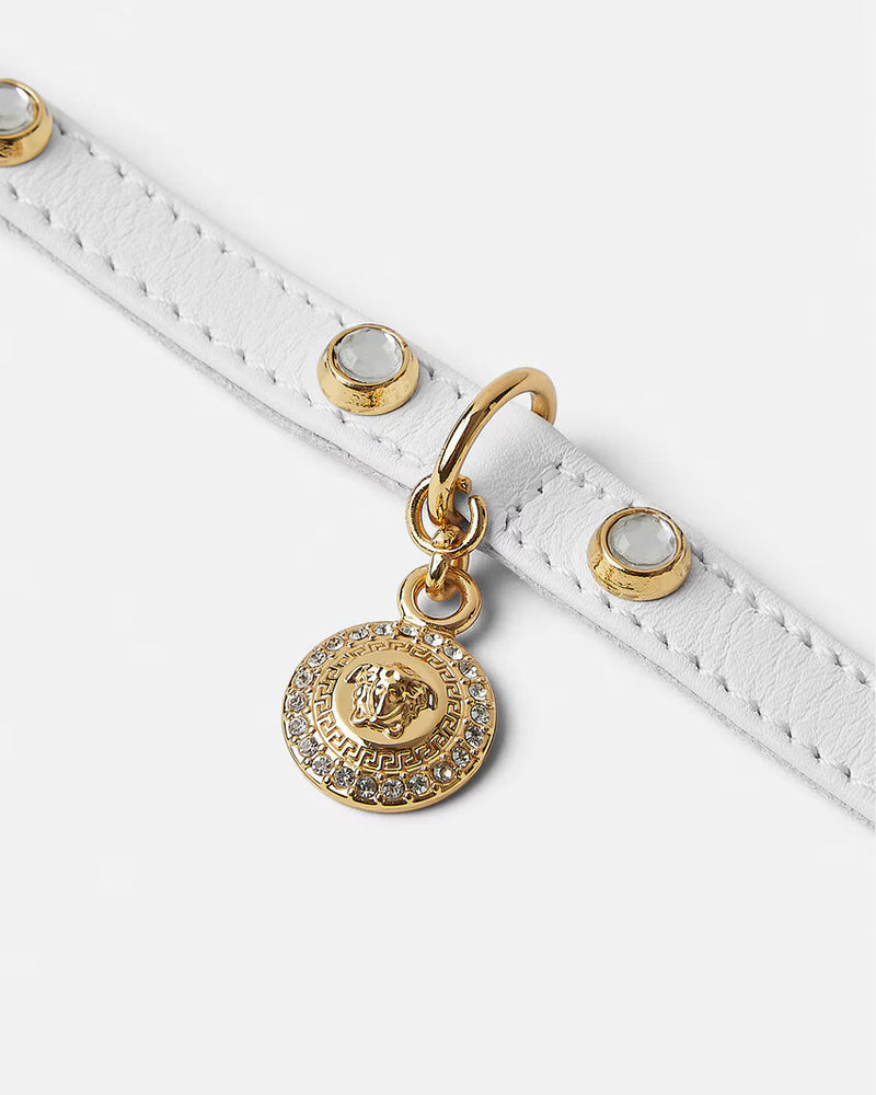 CAT COLLAR ICON