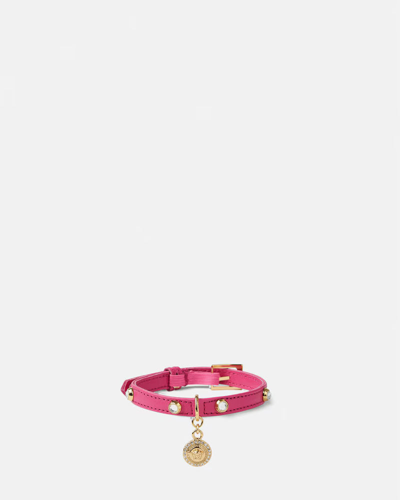 CAT COLLAR ICON