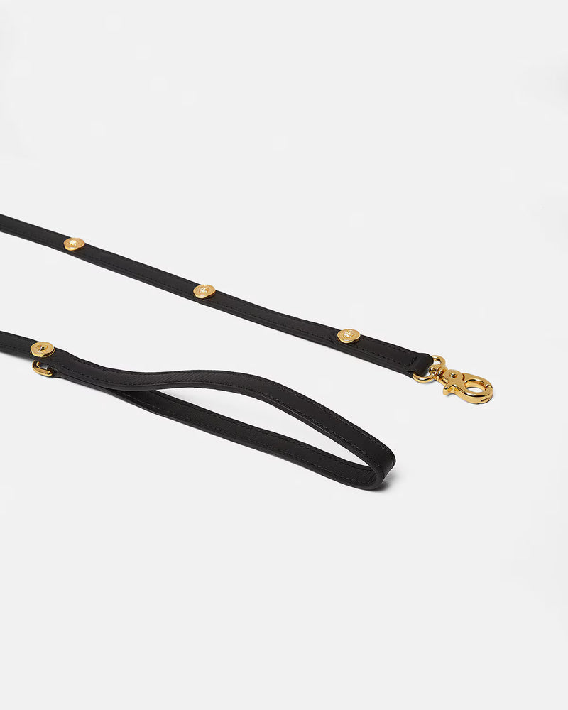 Icon Small Pet Leash
