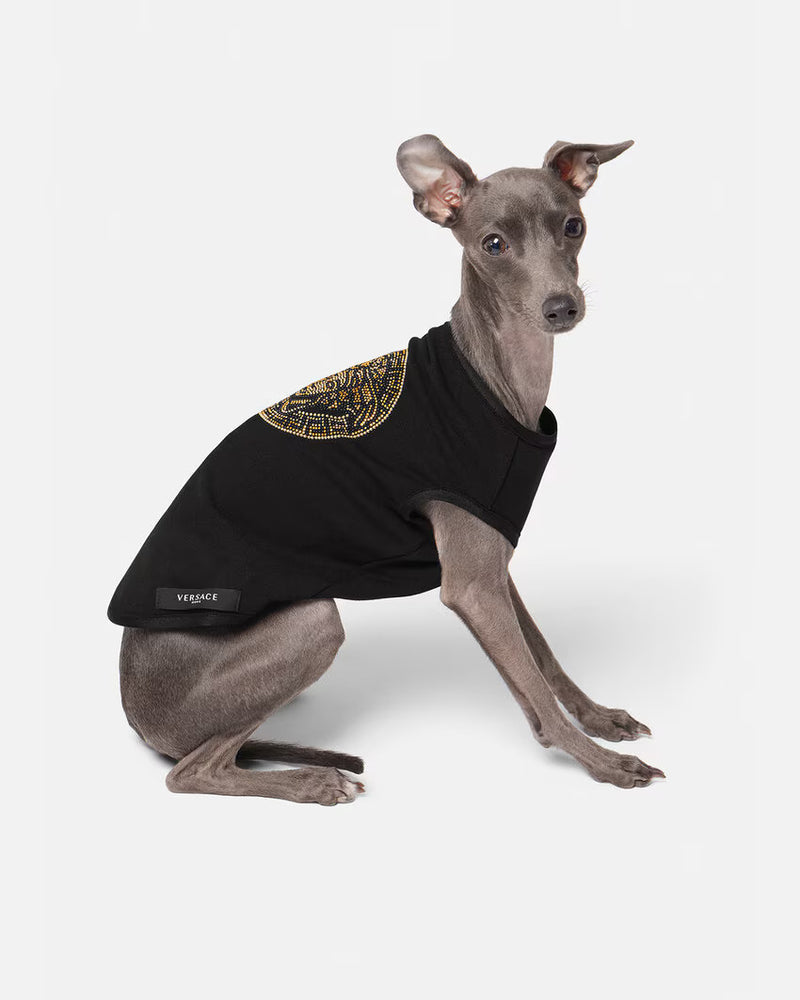 DOG T-SHIRT ICON