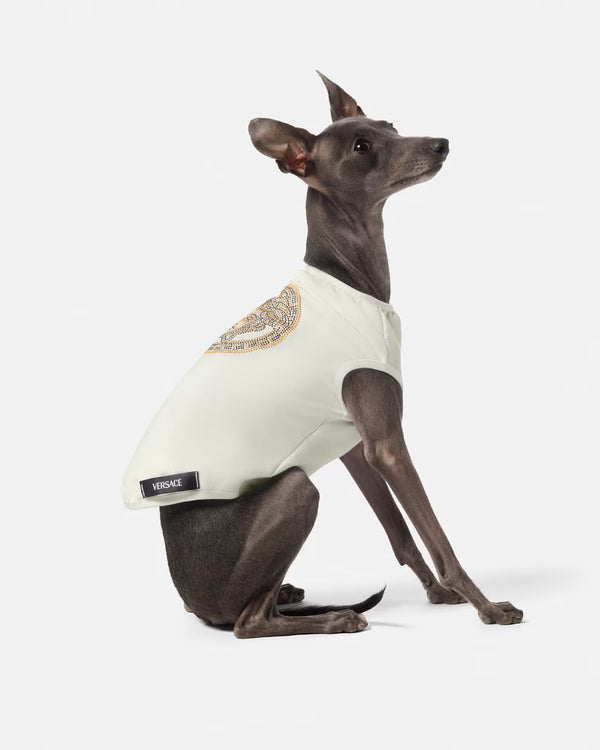 DOG T-SHIRT ICON