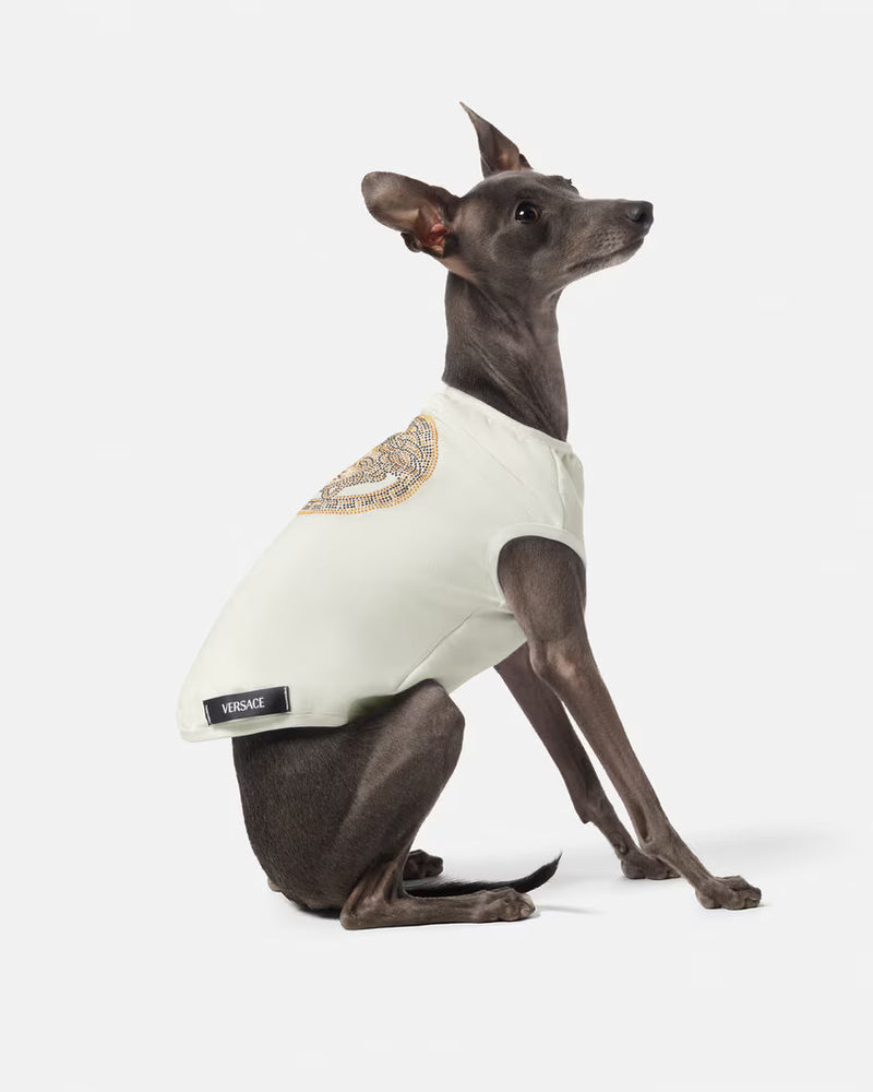 DOG T-SHIRT ICON
