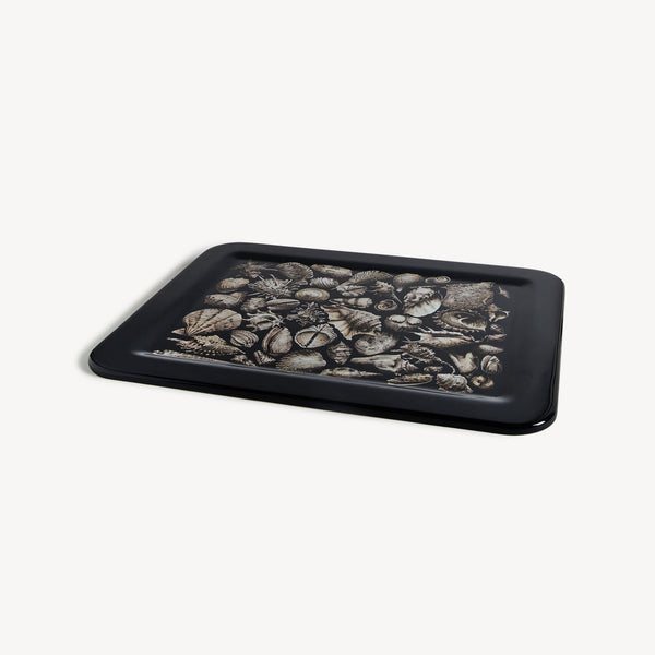 Tray 48x60 Conchiglie white/black on blue