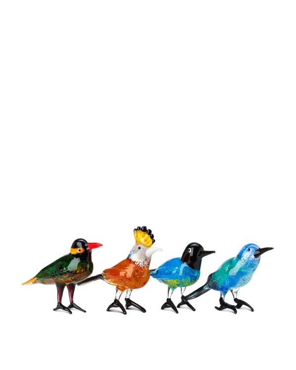 Paradise Birds Multi-colour