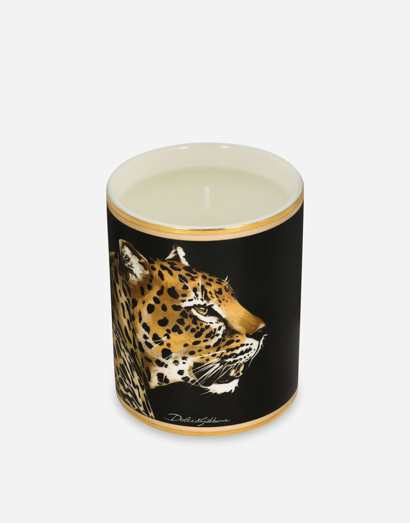 Porcelain Scented Candle – Patchouli