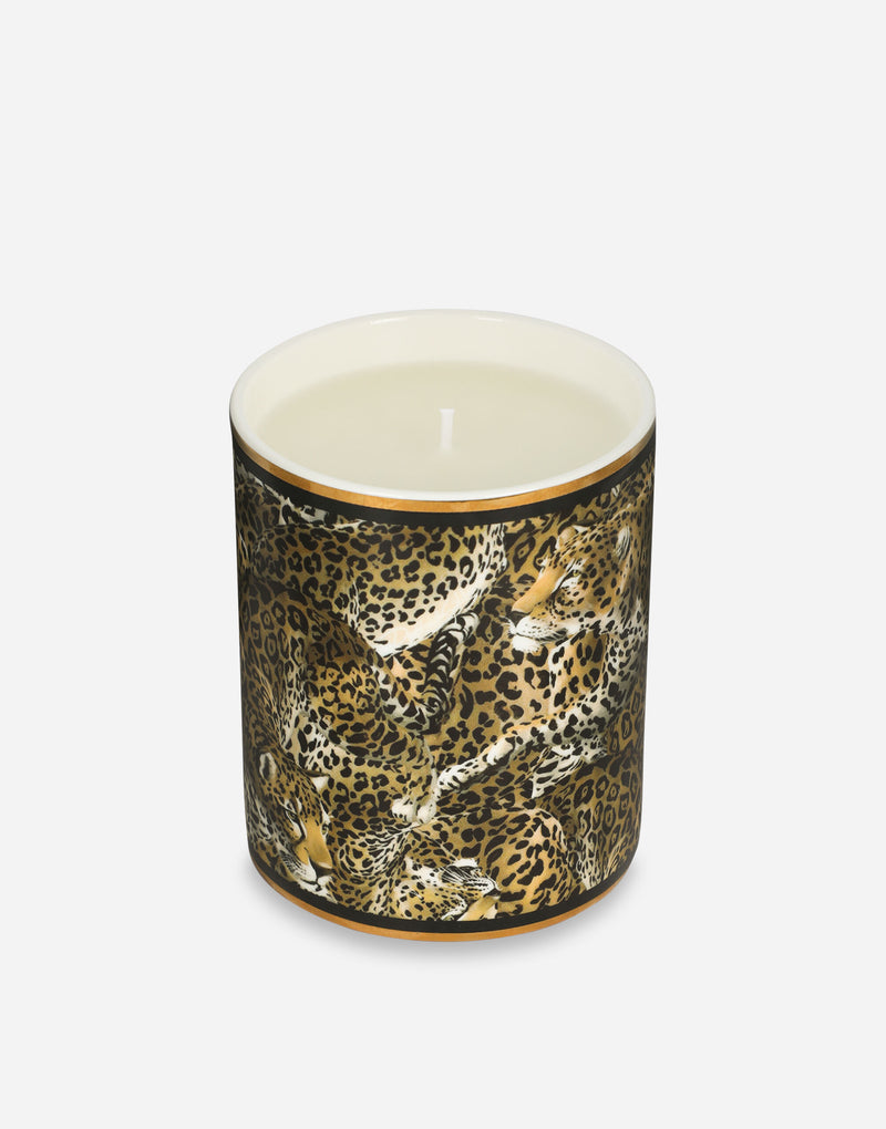 Porcelain Scented Candle – Patchouli