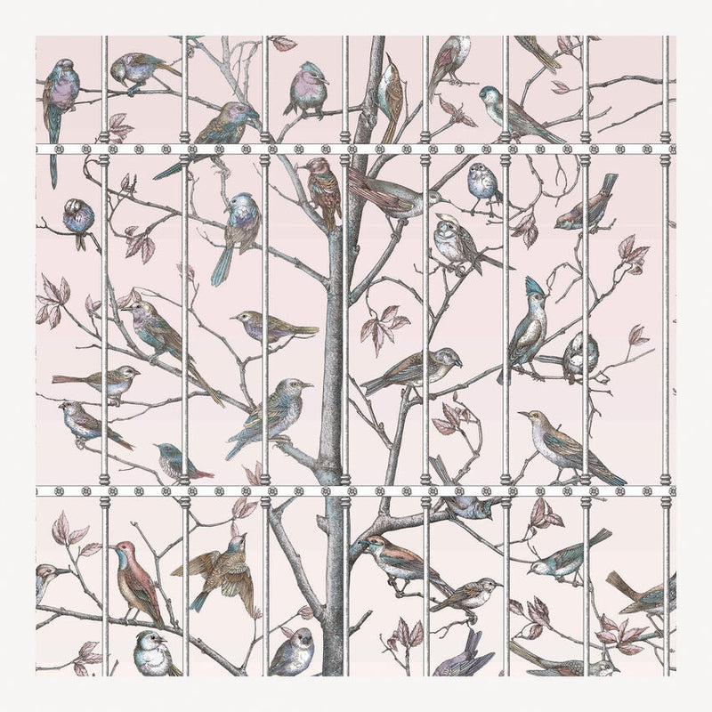 Ucceli Ballet Slipper Pink Wallpaper